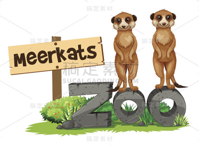 动物园标志旁的两只猫鼬