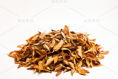 在秋天的白色背景上的文件