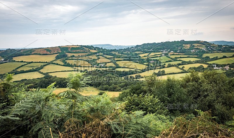 山上的绿色田野，背景是英吉利海峡和英国的乡村。英国多塞特侏罗纪海岸的金冠。