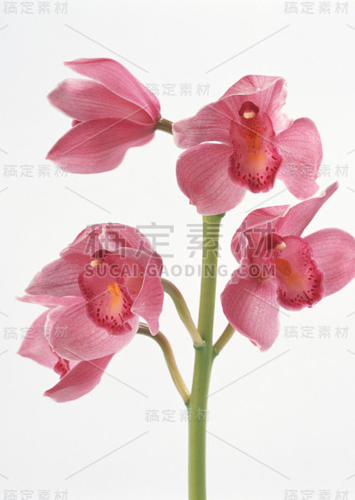 运行