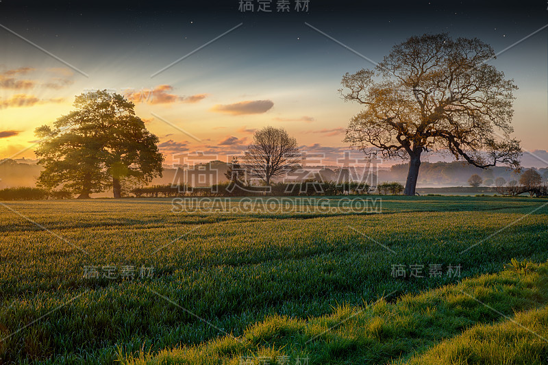 农田日出和树木景观