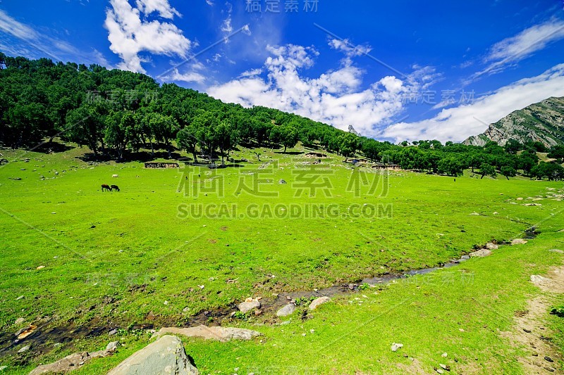 绿油油的田野和群山