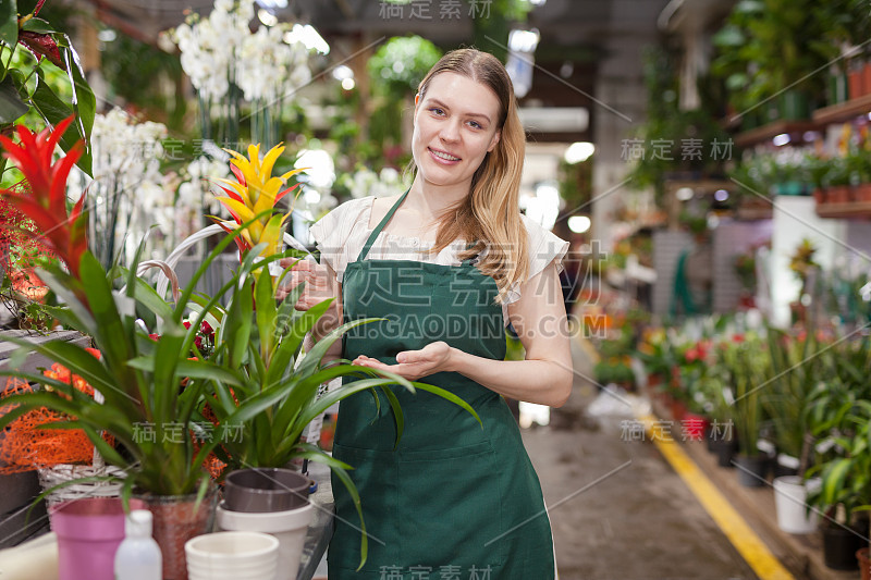 在一家花店里，一位女花匠在照料凤梨花