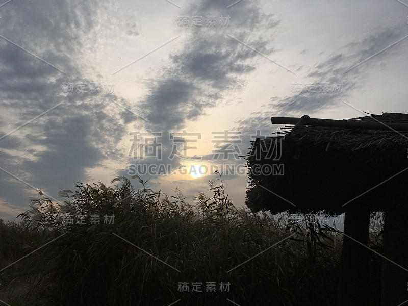 愿景