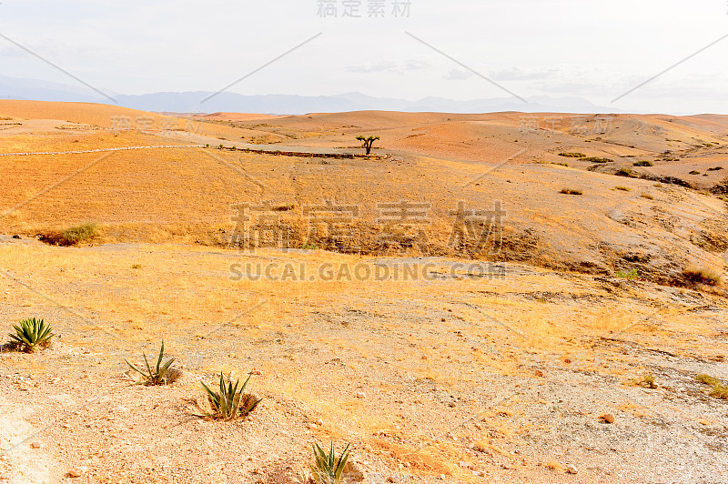 摩洛哥星空沙漠