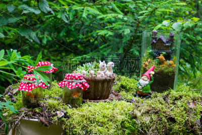 苔藓和节日装饰品玩具。