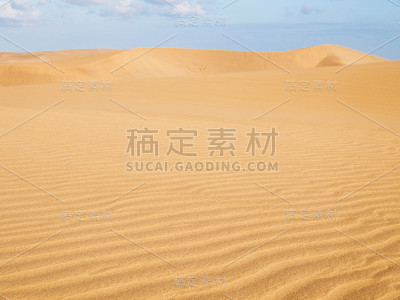 马齿苋沙丘自然保护区