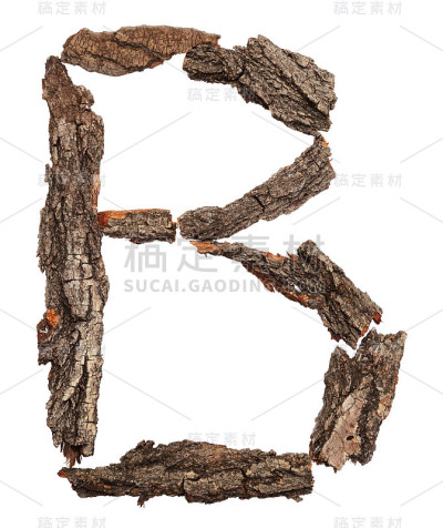 来自树皮的字母。字母B