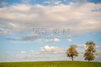 林木线二世