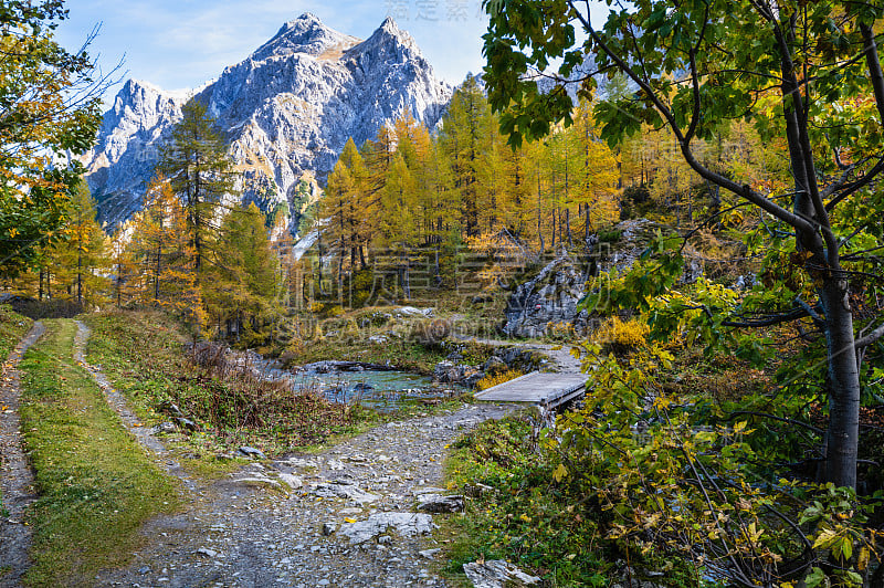 奥地利萨尔茨堡州克莱纳尔的塔彭卡湖徒步旅行的秋季高山溪流景观。