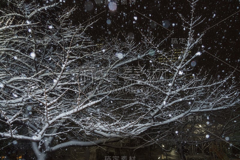 东京的下雪天