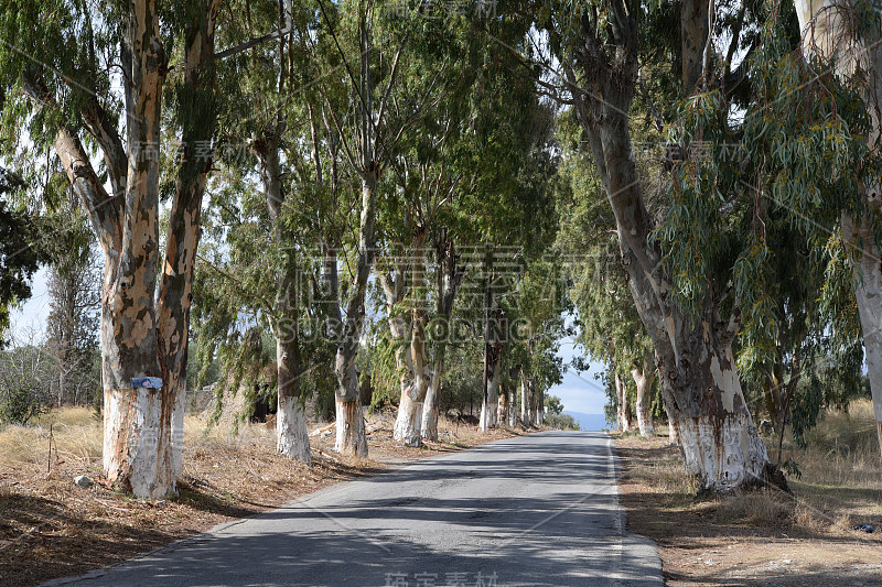 克里特岛乡间小路