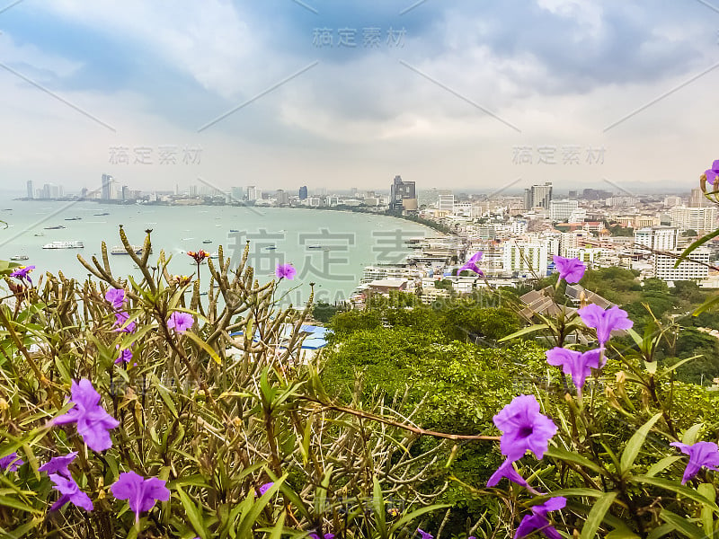 美丽的芭堤雅湾在普拉塔姆纳克山与蓝天背景和鲜花前景。芭堤雅是著名的海上运动和夜生活娱乐。