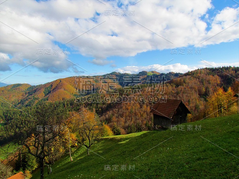 秋天森林的风景