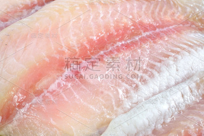 虹彩鲨鱼