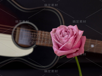 玫瑰
