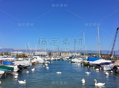 日内瓦湖畔
