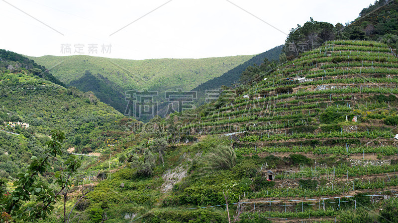 维尔纳扎葡萄酒山，五个国家