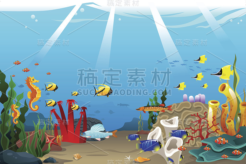 海洋生物