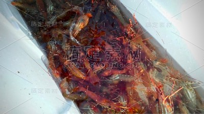 点虾