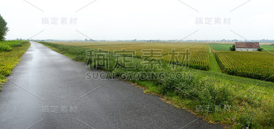 波河沿岸的景观