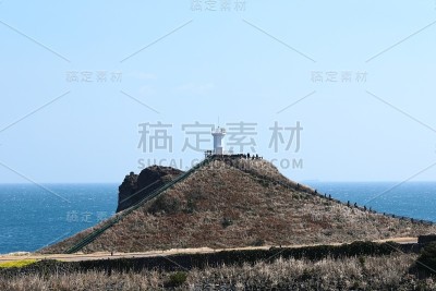 素曲，油菜花，春天，