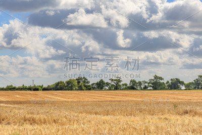 萨福克农田
