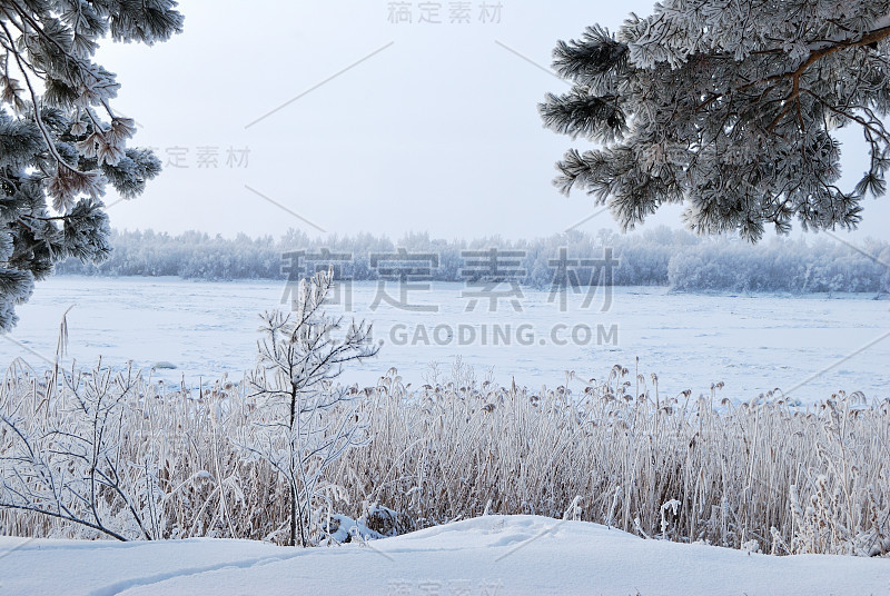 俄罗斯西伯利亚鄂木斯克地区额尔齐斯河上的清晨