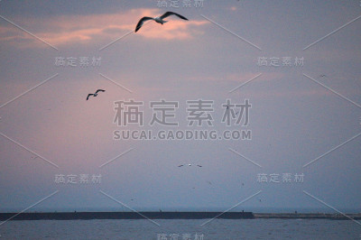 黎明