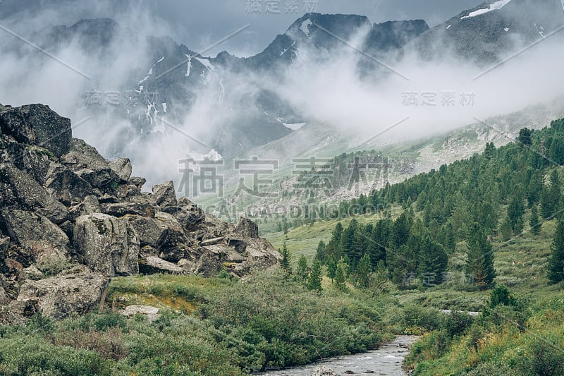 俄罗斯自然野生。严峻的景观与溪流在多云的山区。阿克尚山谷的迷雾森林。在阿尔泰共和国旅游。徒步旅行在俄