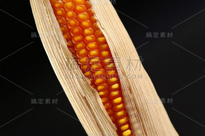 玉米穗的特写