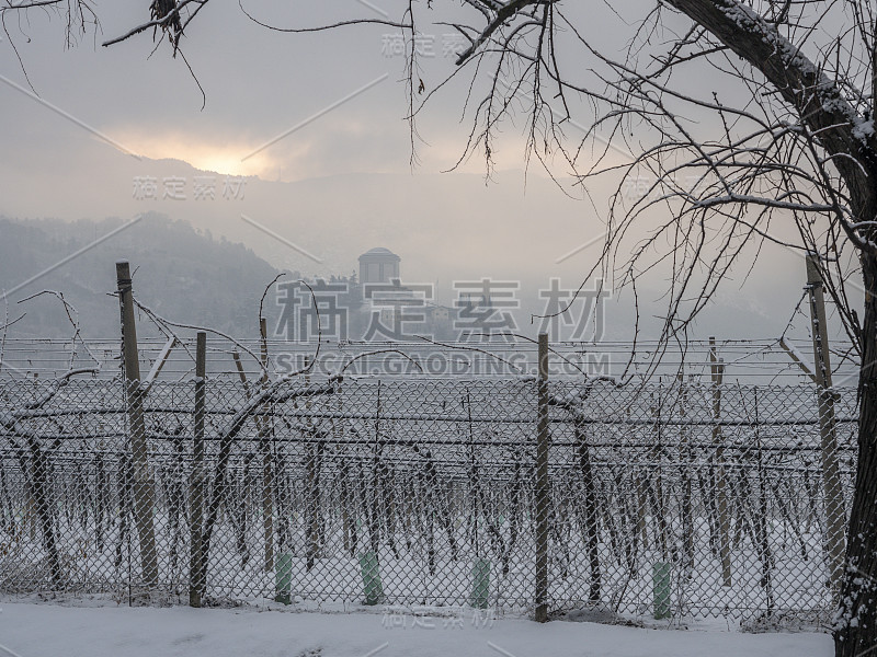 特伦蒂诺罗韦托的雪