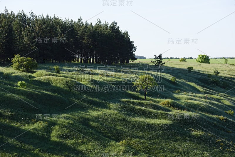 夏日清晨，青山绿水，松林长影，令人印象深刻