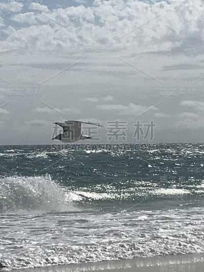 海滩场景……