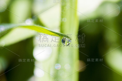 一滴水