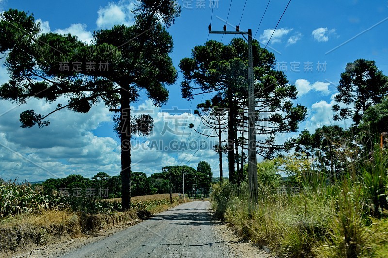 圣卡塔琳娜内的路