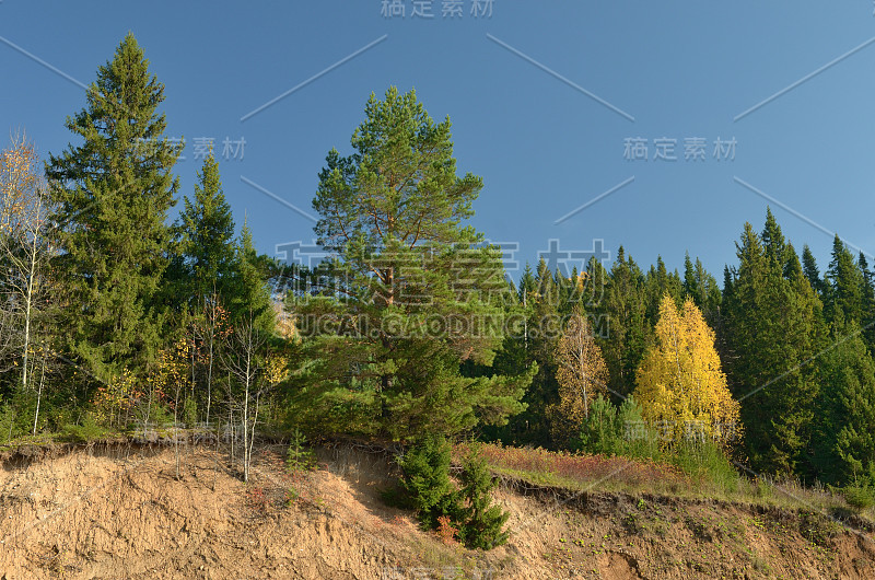 秋天，天空森林草甸山，秋天