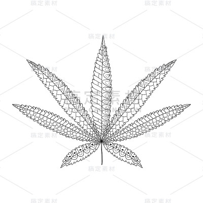 大麻叶子在装饰风格。大麻装饰性的剪影。
