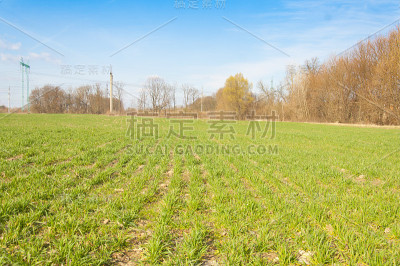 春天开垦的土地