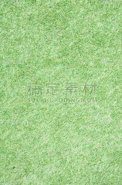 绿草的背景