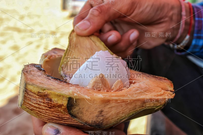 保湿天然椰子霜脸部和身体，在海滩吃男人椰子霜(malai)，椰子霜和天然勺