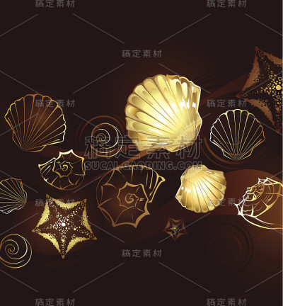 金贝壳