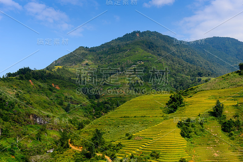 越南北部的自然景观和水稻梯田