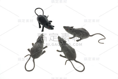 玩具老鼠