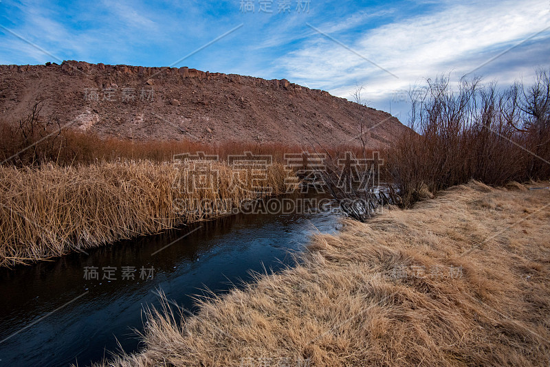 干燥的棕色芦苇沿河岸流动的水在丘陵山谷