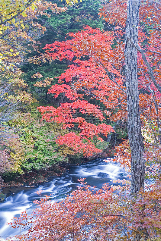 皇冠的autumn-waterfall