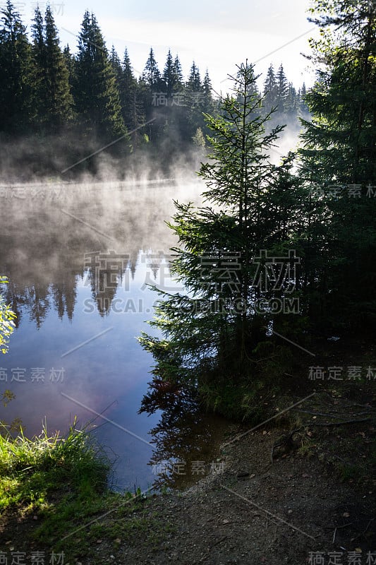 早晨的薄雾笼罩在Pohorsky池塘表面，被称为Jiricka水库附近的Pohorska Ves, 