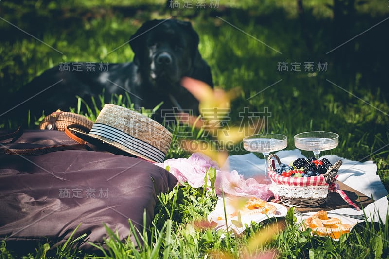 夏季户外野餐