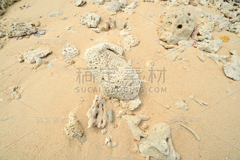 Corals stones shells sticks and sand on the beach