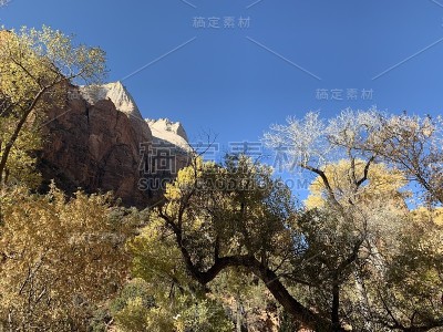 锡安# 13